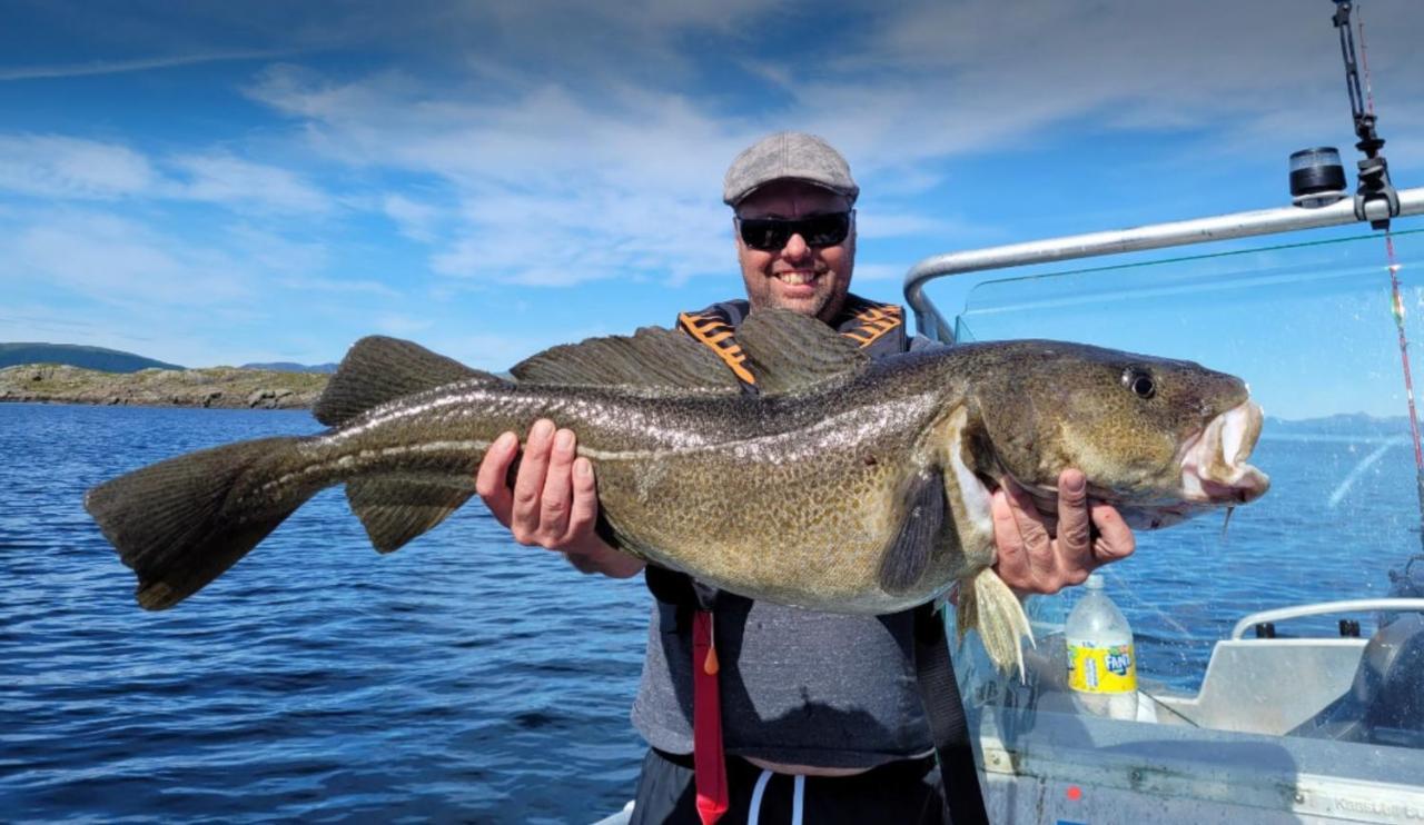 Lofoten And Vesteralen Kveldro Myrland エクステリア 写真