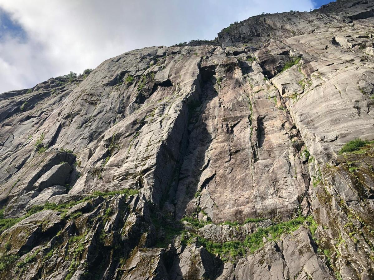 Lofoten And Vesteralen Kveldro Myrland エクステリア 写真