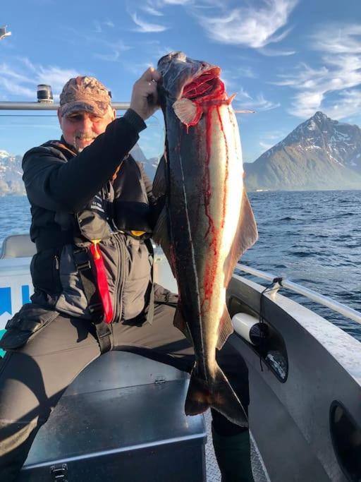 Lofoten And Vesteralen Kveldro Myrland エクステリア 写真