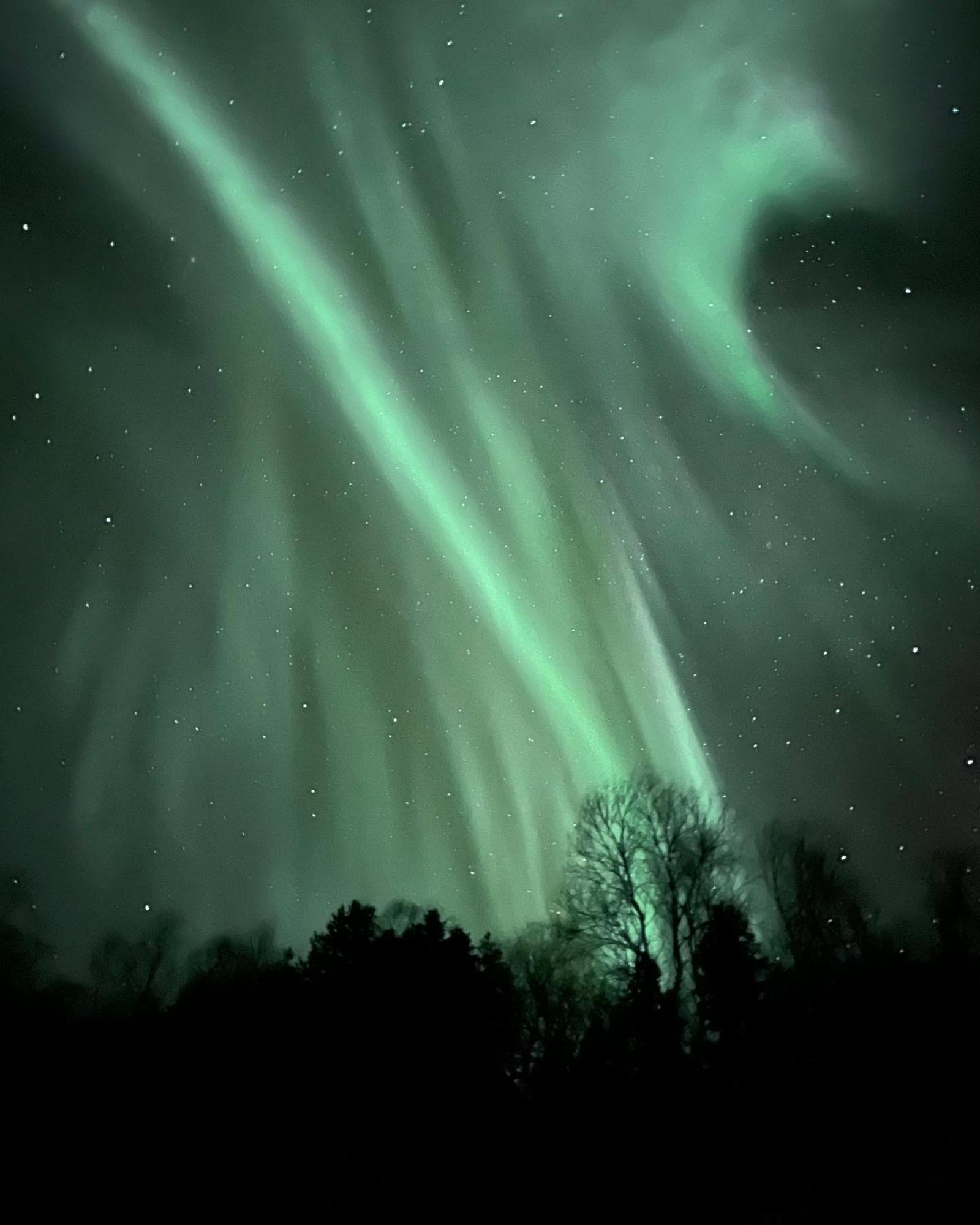 Lofoten And Vesteralen Kveldro Myrland エクステリア 写真